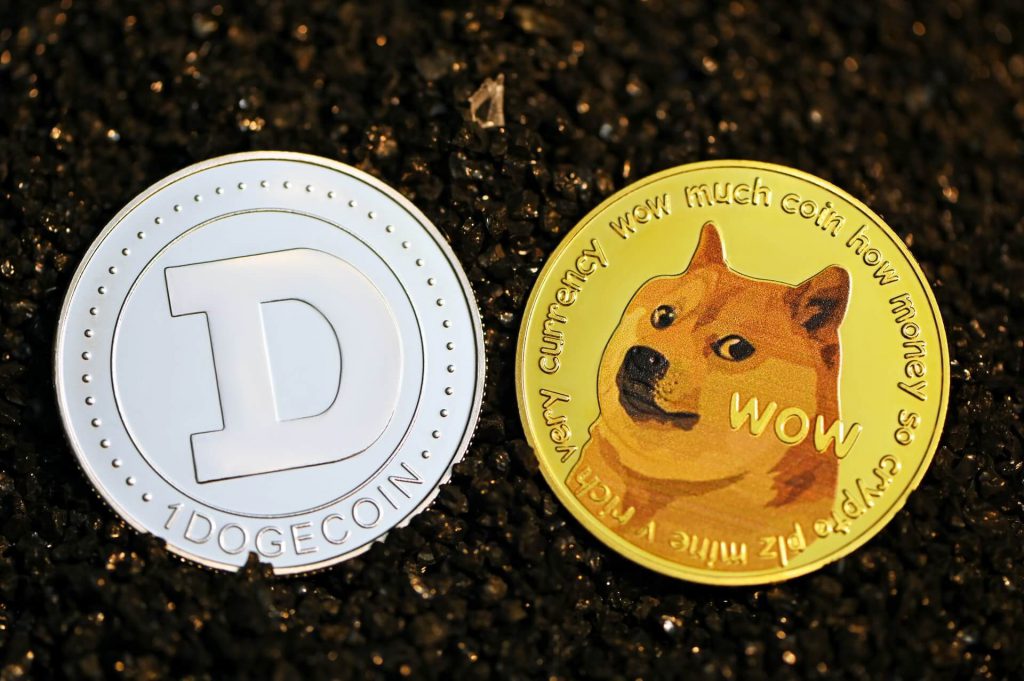 A pair of Dogecoin on black stones