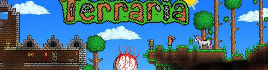Terraria Video Game